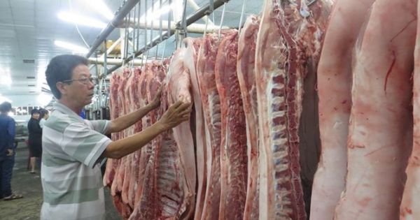 TPHCM cảnh báo heo bệnh trà trộn vào chợ dịp Tết