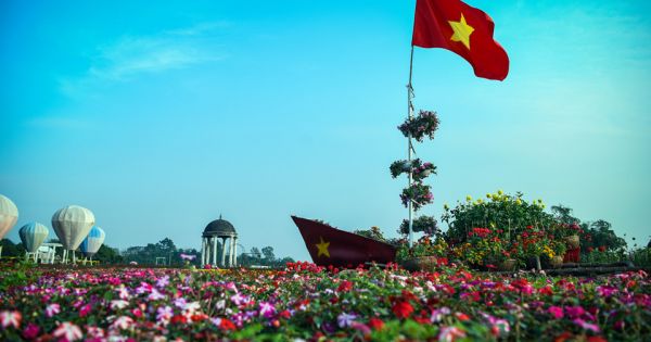 Cup vô địch làm từ nghìn bông hoa cổ vũ tuyển Việt Nam