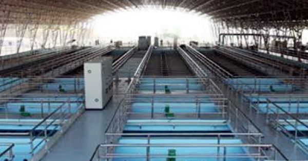 TP HCM: Lãnh đạo Sở Nông nghiệp nhận tiền 