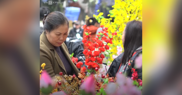 Chợ hoa Hà Nội hút khách mua sắm dịp cận Tết