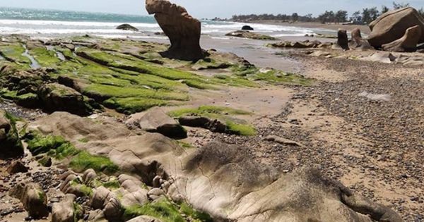 “San phẳng bãi đá 7 màu và bãi rêu xanh”: Lãnh đạo ở Bình Thuận nói gì?