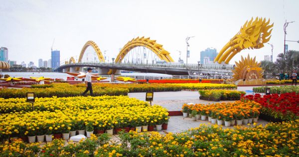 Cầu Vàng bất ngờ 