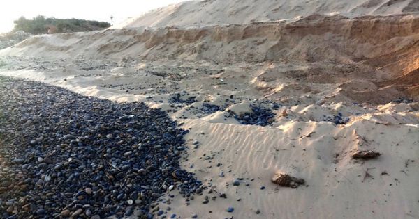 Chuyển hồ sơ vụ bãi đá 7 màu bị xâm hại sang cơ quan điều tra