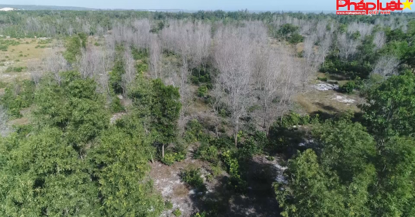 Bình Thuận: Phải chăng Chủ tịch xã làm ngơ trước sự chỉ đạo của Chủ tịch huyện