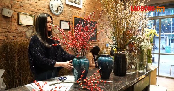 Đào đông, mai Mỹ “đổ bộ” dịp Tết, dân chơi hoa chi tiền khủng