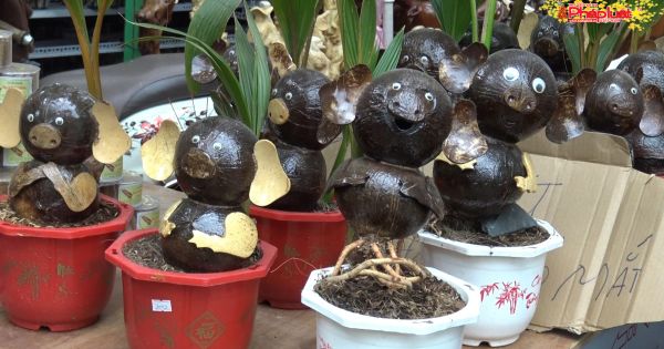 TP HCM: Người mua hoa giảm mạnh những ngày cận tết