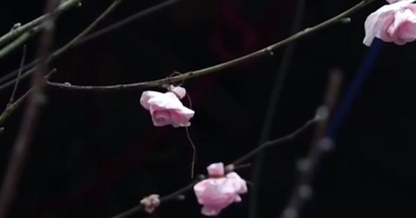 Bệnh nhân nghèo xóm chạy thận và những cái Tết xa quê