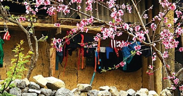 Phong tục ăn Tết của người Nùng Lạng Sơn