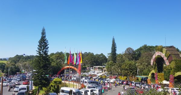 Đà Lạt cháy phòng, du khách dựng lều ngủ ở bờ hồ Xuân Hương