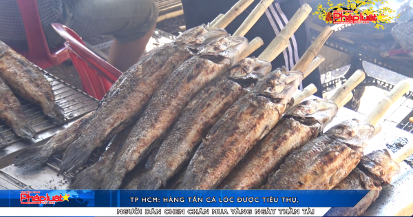 TP HCM: Hàng tấn cá lóc được tiêu thụ, người dân chen chân mua vàng ngày thần tài