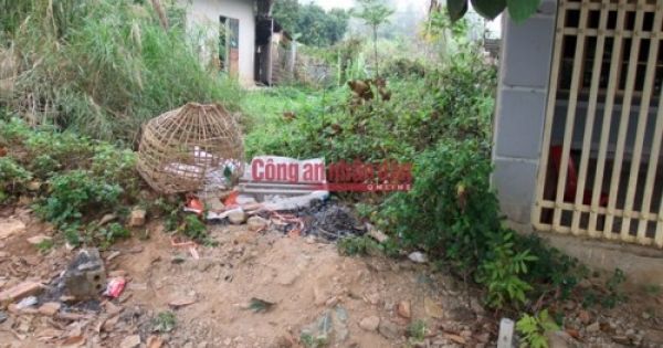 Khởi tố kẻ giăng bẫy sát hại nữ sinh viên bán gà để cướp tài sản