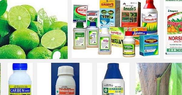 Việt Nam cấm 2 hoạt chất bảo vệ thực vật