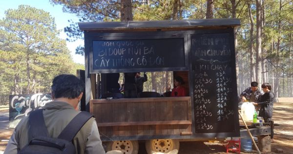 Tạm dừng việc bán vé tham quan “cây thông cô đơn” ở Đà Lạt