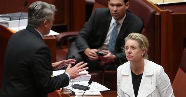 Australia: Liên đảng cầm quyền thu hẹp khoảng cách với Công đảng