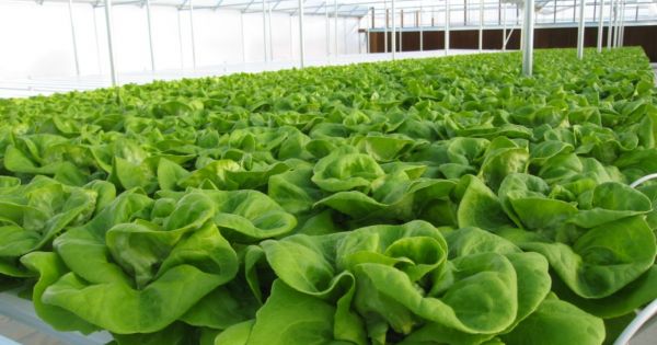 Biến dự án ở Đồng Nai từ công sang tư