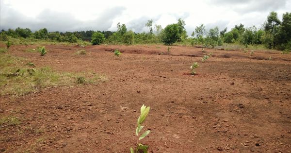 Bắt chủ tịch xã vì tham mưu cấp đất quốc phòng cho người thân lãnh đạo