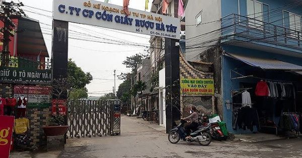 Đồng bỏ hoang vì doanh nghiệp xả thải Thanh tra vẫn 