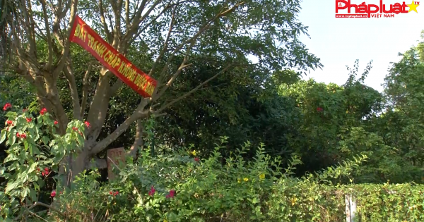 Hóc Môn: Việt kiều hồi hương kêu cứu.