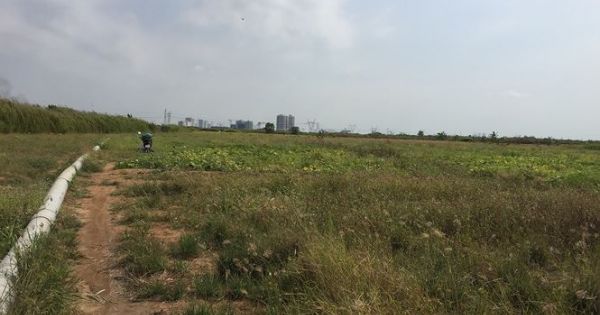 Cận cảnh Dự án KCN Phong Phú bị UBND TPHCM chỉ đạo thanh tra