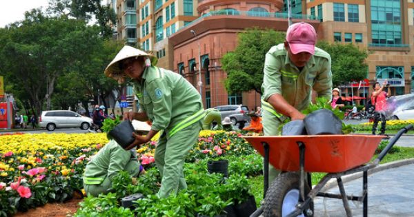 Cổ phần hóa ở TP HCM vẫn ì ạch vì vướng đất công