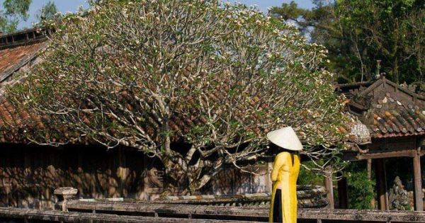 Miễn vé cho phụ nữ mặc áo dài khi tham quan di tích Huế