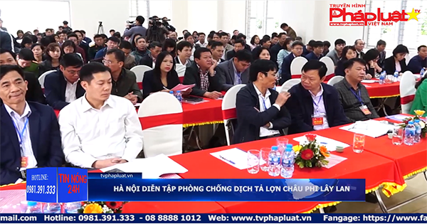 Tin nóng 24h 08/03/2019