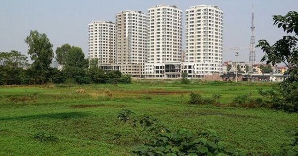 Chính phủ rút đề xuất sửa đổi Luật Đất đai