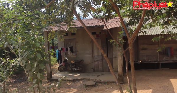 Quảng Nam: đằng sau câu chuyện kiểm lâm hành hung người đồng bào dân tộc thiểu số