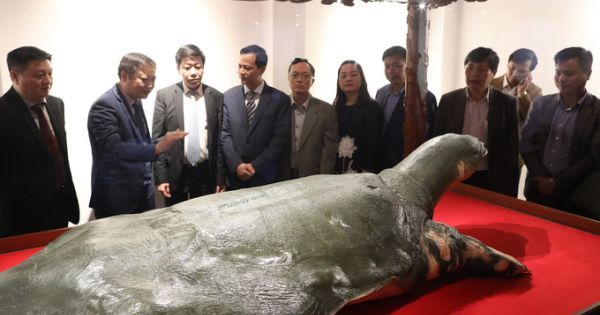 Tin nóng ngày 16/03/2019