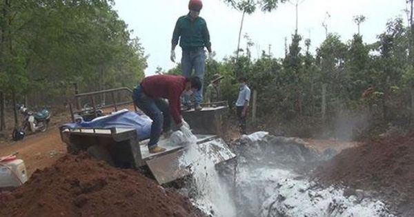 Đắk Lắk: Xuất hiện dịch bệnh lở mồm long móng