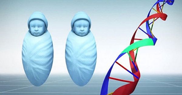 Các nhà khoa học kêu gọi dừng nghiên cứu, chỉnh sửa gene trong 5 năm