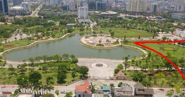 Sao cứ nhắm xén “lá phổi xanh”