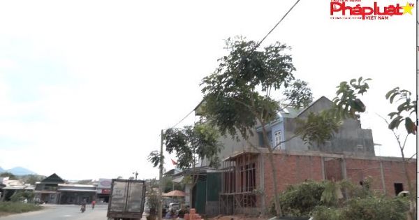 Dân thưa, chính quyền huyện Đam Rông giải quyết 