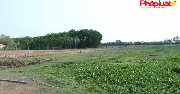 Bản tin Pháp Luật - Kỳ 2: Ngân Hàng đã bán nợ vẫn tiếp tục đòi thi hành án