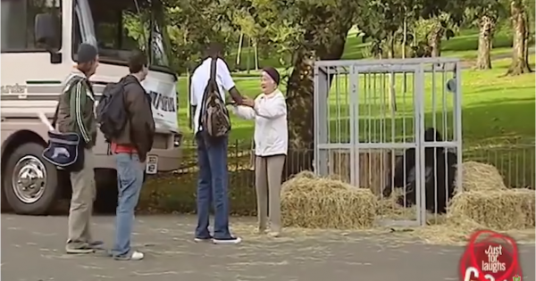 NEW Just For Laughs Gags 2019 Best Gags Funny Franks Compilation