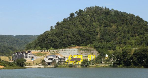 Chủ tịch Hà Nội: Xử lý dứt điểm vi phạm đất rừng tại Sóc Sơn