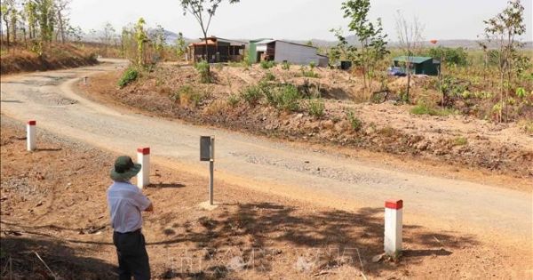 Đắk Lắk: Nằm sát QL29, rừng vẫn bị hủy hoại nghiêm trọng