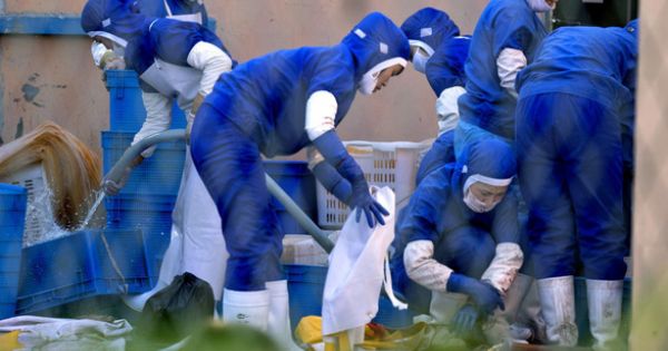 Tin nóng ngày 26/03/2019