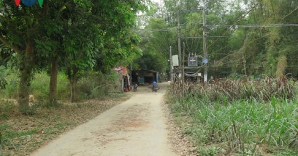 Sốt đất đã đến… bụi tre làng của vùng đất Quảng Ngãi