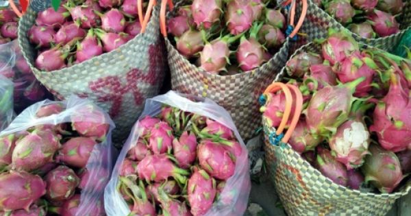 Hàng hóa xuất khẩu Việt Nam chưa tận dụng được các ưu đãi từ FTA