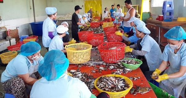 Câu chuyện khởi nghiệp thành công từ 44 triệu đồng của Quách Văn Trắng