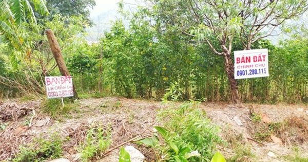 Quảng Ninh “tuýt còi” chuyển nhượng đất ở Vân Đồn