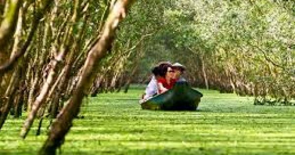 Rừng tràm Trà Sư: Sức hấp dẫn nguyên bản ở cánh rừng đặc dụng