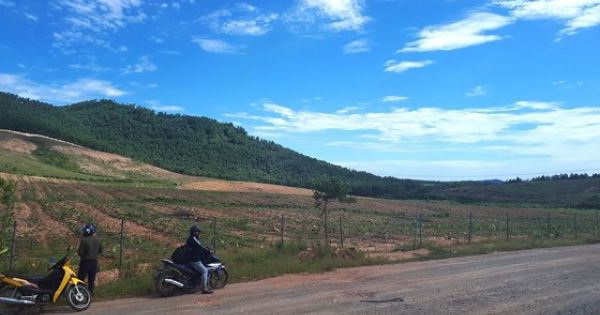 Bộ Công an yêu cầu định giá dự án nuôi bò lớn nhất Hà Tĩnh