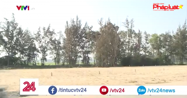 Đề xuất Quốc hội ra nghị quyết xử lý 