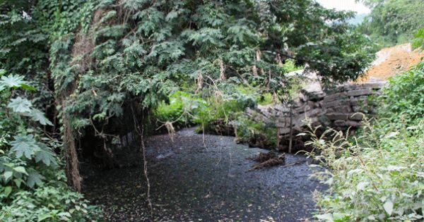 Người dân “TP đáng sống” khốn khổ vì dòng nước đen ngòm, hôi thối