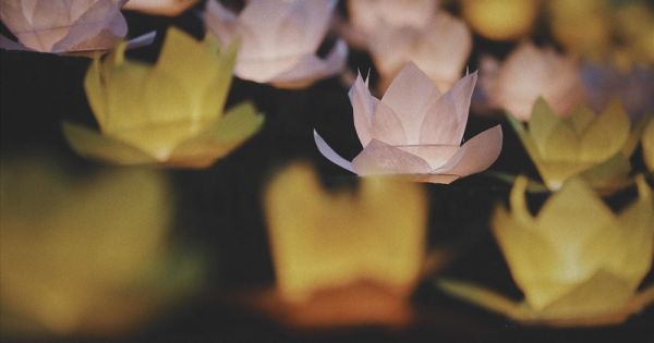 Cố đô Hoa Lư lung linh trong đêm hoa đăng cầu Quốc thái dân an