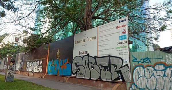 TPHCM: Thu hồi bán đấu giá 300 mặt bằng đất công