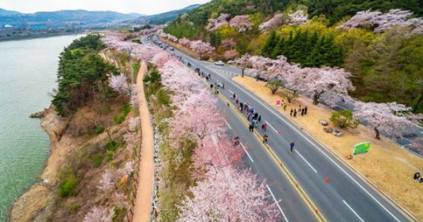 Hàn Quốc mở trung tâm đăng ký visa tại TPHCM