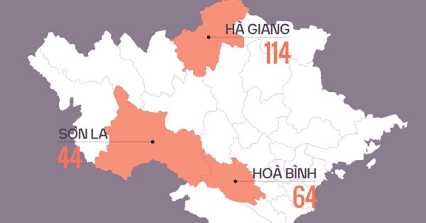 Lãnh đạo Hòa Bình 